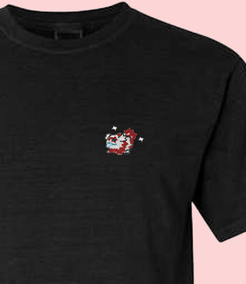 #0263 shiny tee shirt