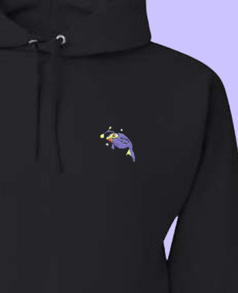 #0171 shiny hoodie