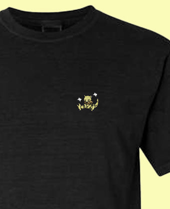 #0063 shiny tee shirt