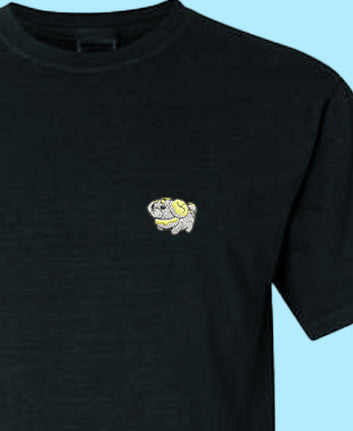 #0926 tee shirt
