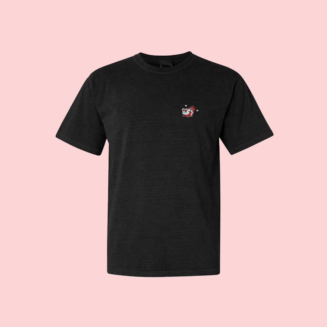 #0263 shiny tee shirt