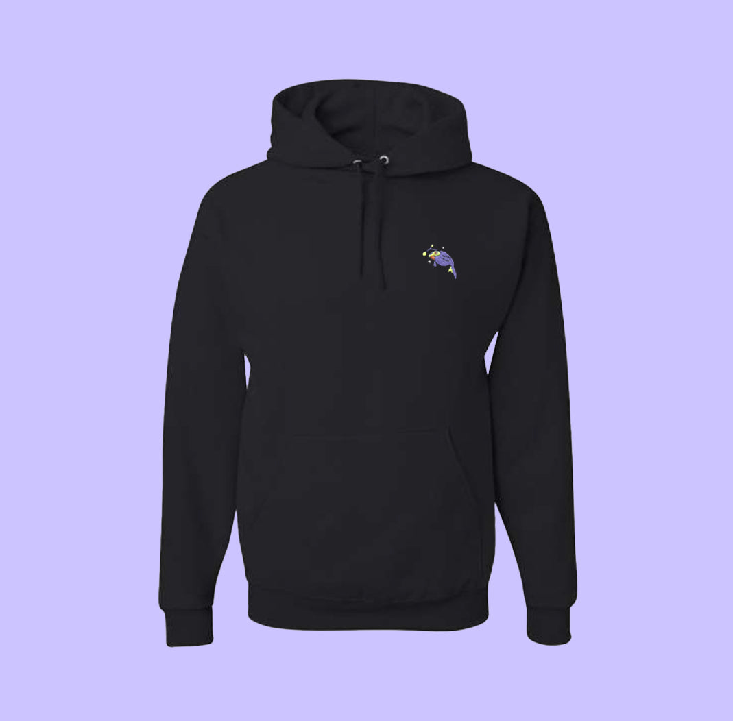 #0171 shiny hoodie
