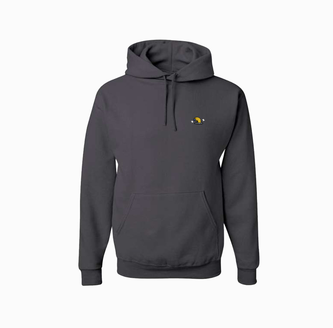 #0960 short shiny hoodie