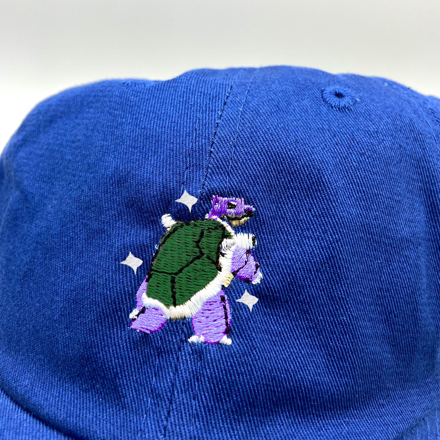 #0009 shiny dad hat