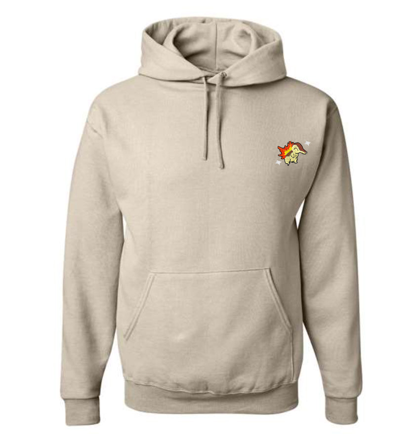#0155 shiny hoodie
