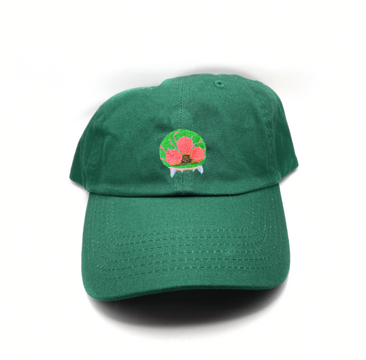 metroid dad hat