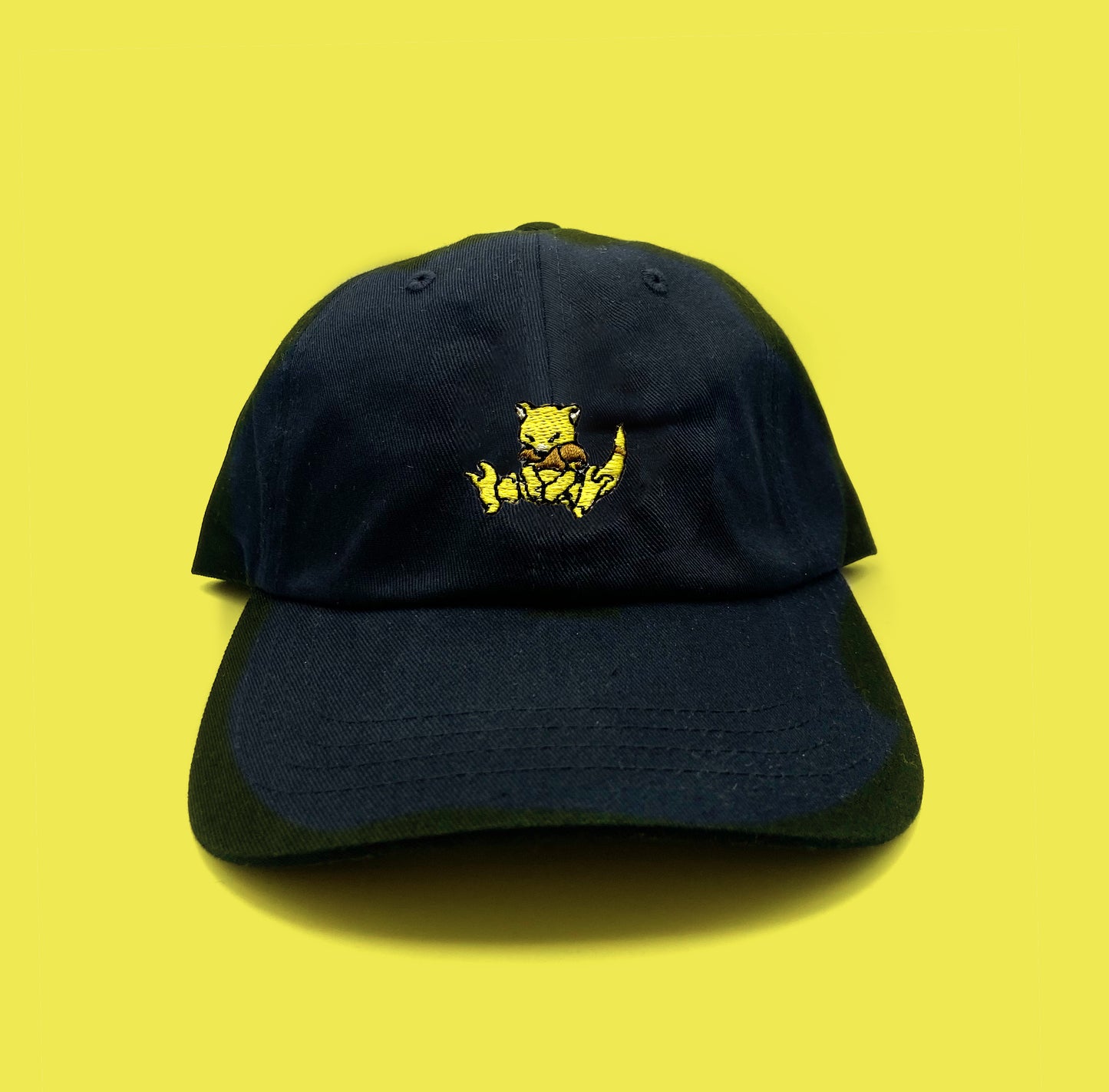 #0063 dad hat