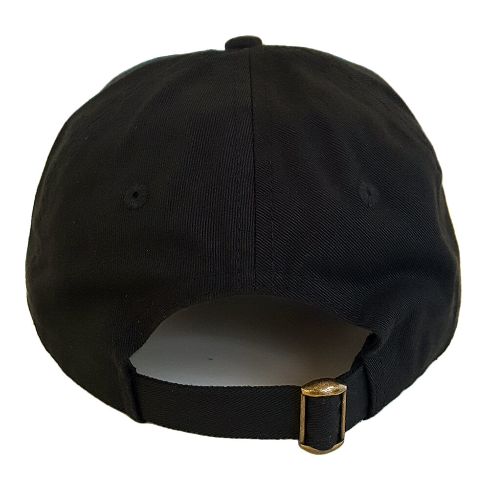 #0101 shiny dad hat