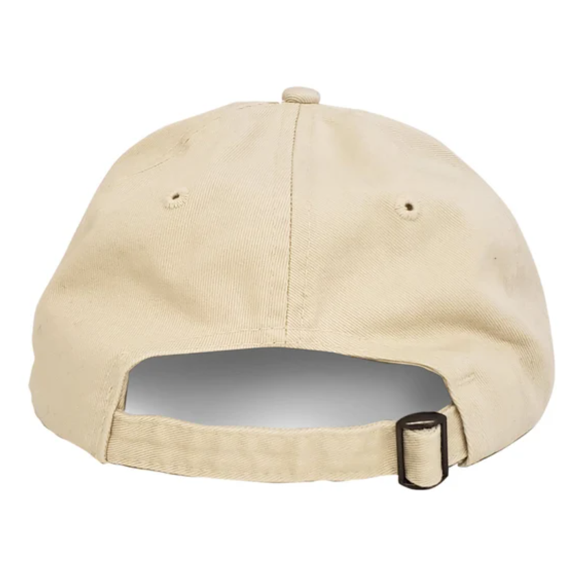 #0015 shiny dad hat