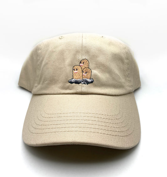 #0051 dad hat