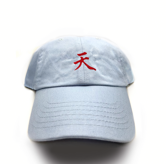 akira dad hat