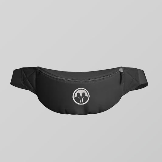 night owl fanny pack