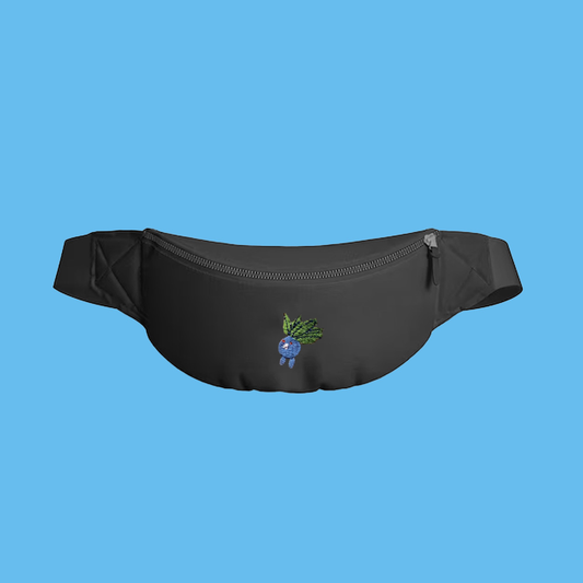 #0043 fanny pack