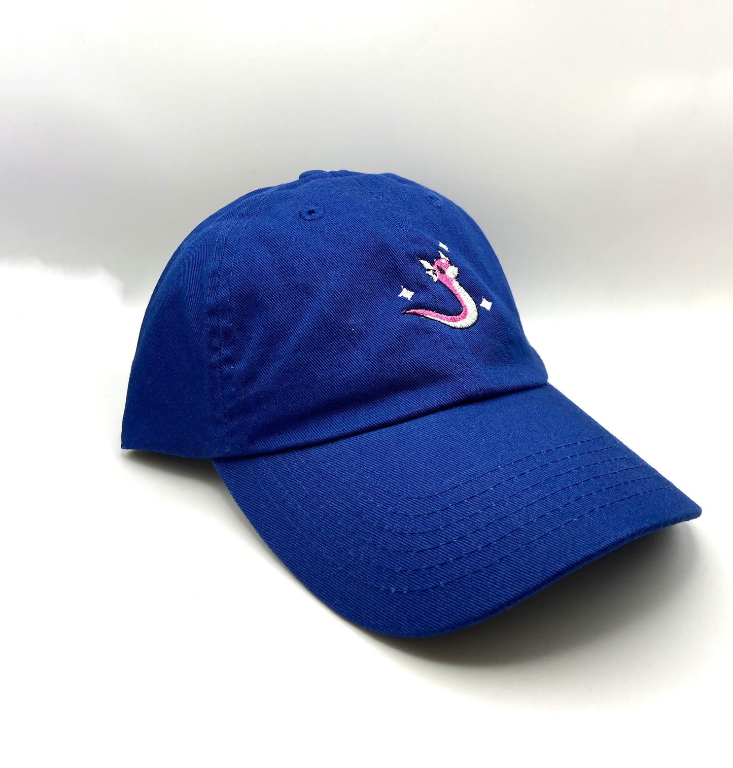 #0147 shiny dad hat