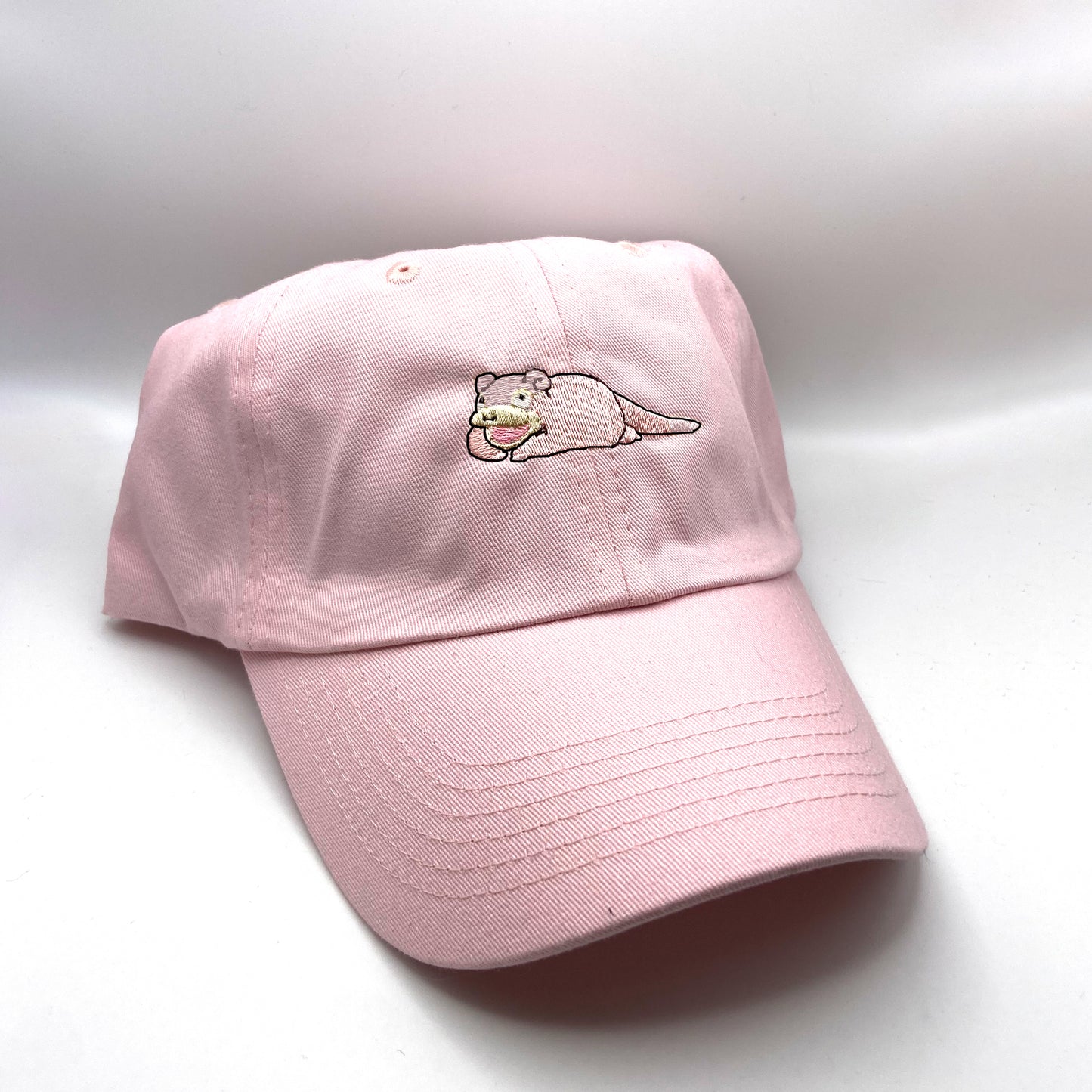 #0079 dad hat