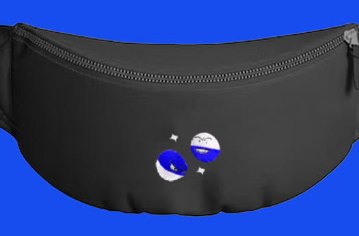 #0100 and #0101 shiny fanny pack