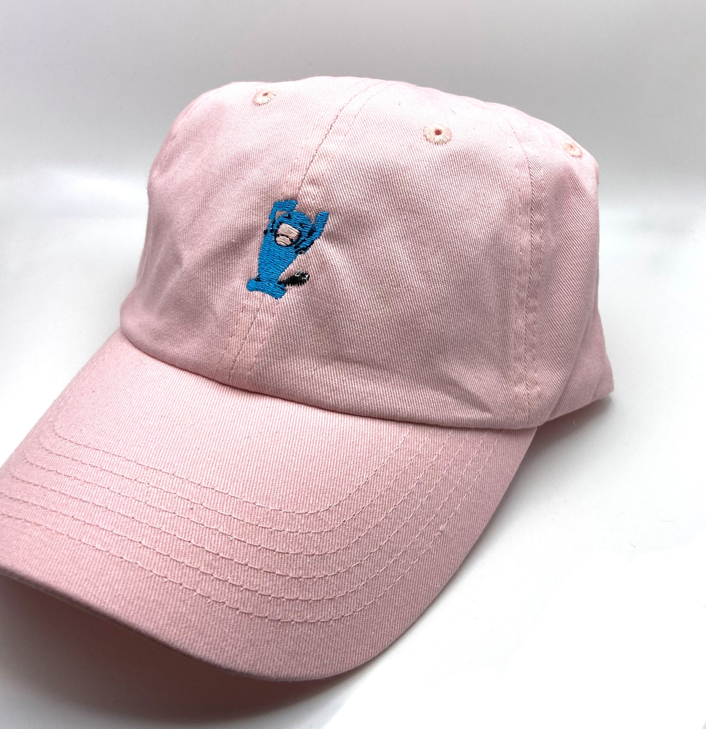 #0202 dad hat